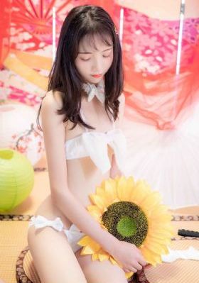 喜爱夜蒲3_电视剧完整版在线观看